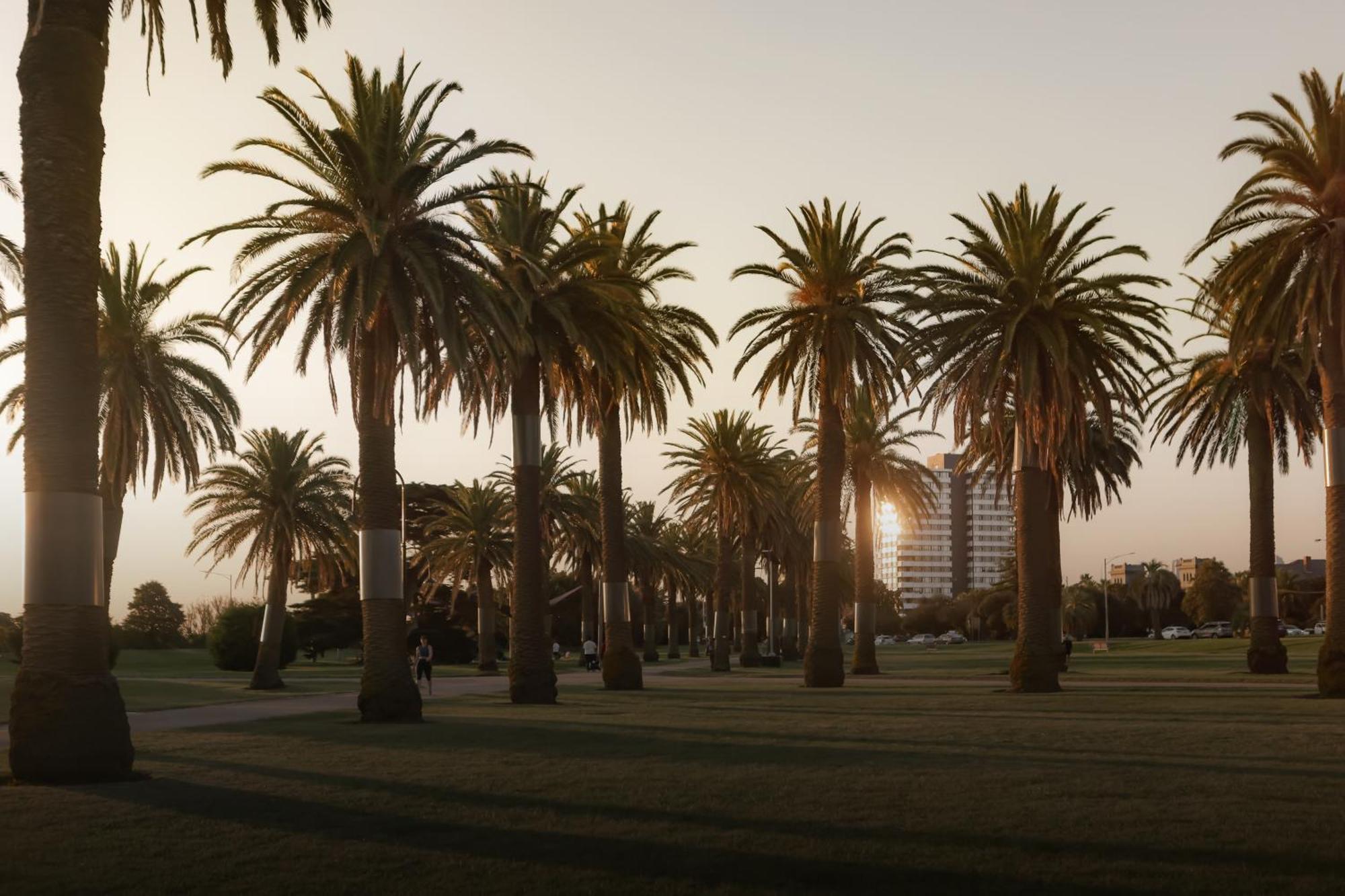 Mac St Kilda Blessington St By Melbourne Apartment Collection エクステリア 写真